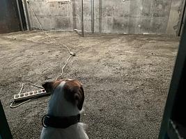 Стяжка пола сухая смесь полистиролбетона Д400 Д500