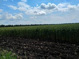 Земельный участок 1400 Га (пашня)