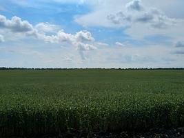 Земельный участок 1400 Га (пашня)