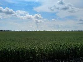 Земельный участок сельхозназначения 223 Га