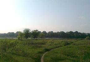 Земельный участок сельхозназначения 71 Га.