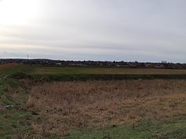 Земельный участок сельхозназначения 77 Га