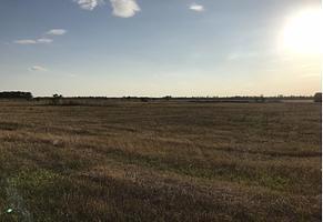 Земельный участок сельхозназначения 56 Га